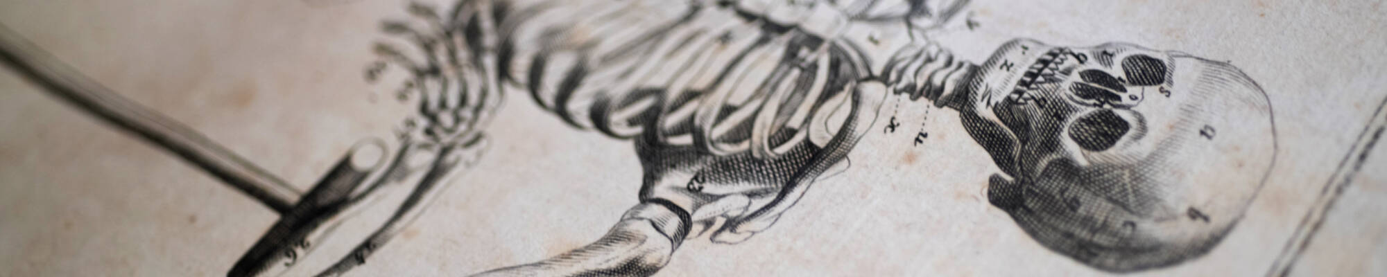 Summer Scholars student Ian Curtis is doing his research on the validity of plagiarism accusations regarding plates in the Encyclopédie (1751-72) which is housed in the Special Collections and University Archives in the Seidman Center on GVSU’s Alle...